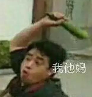 20秒转狗40圈！这家网红店，求求你放过狗吧！