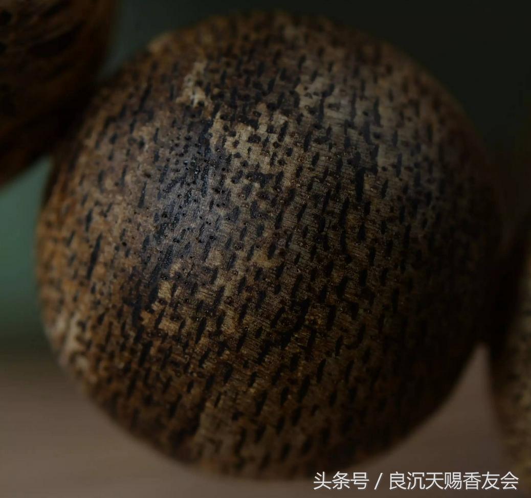 良辰扫盲篇完整版,沉香百科之新手对沉香的问题总结