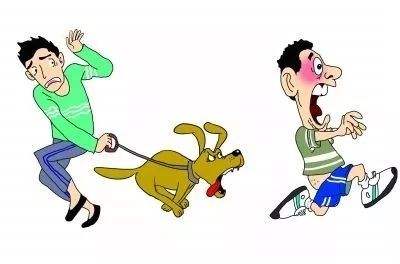 狂犬病毒感染一般多久能治愈,狂犬病病毒发作后有办法治愈吗