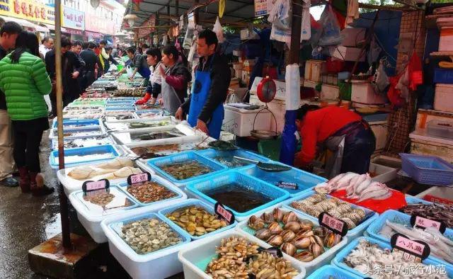 珠海一日游最佳景点港珠澳大桥,珠海长隆旅游攻略必玩的景点