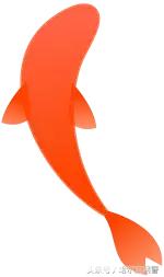 中国锦鲤的套路有哪些呢,中国锦鲤为什么火了