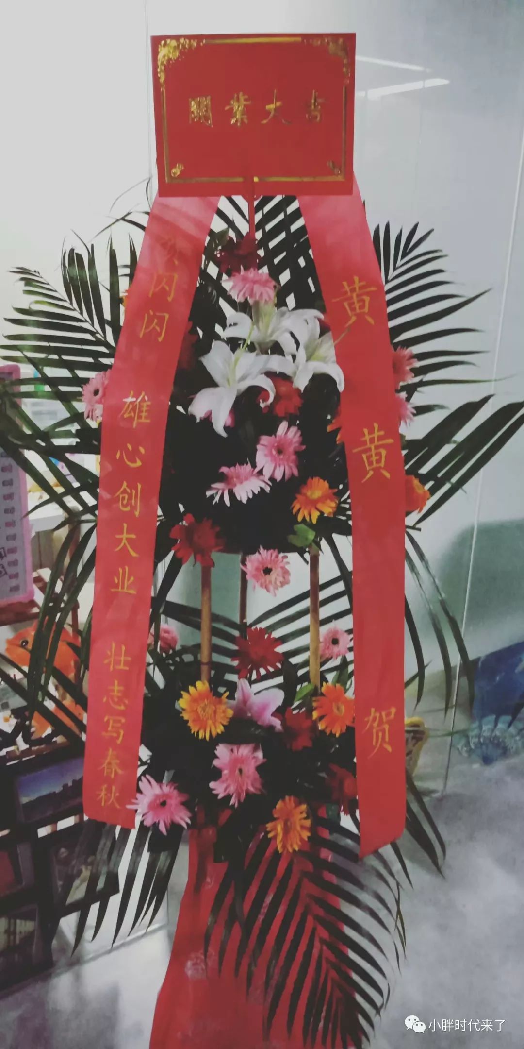 你们心心念的小胖时代，已经悄悄开业啦啦啦~