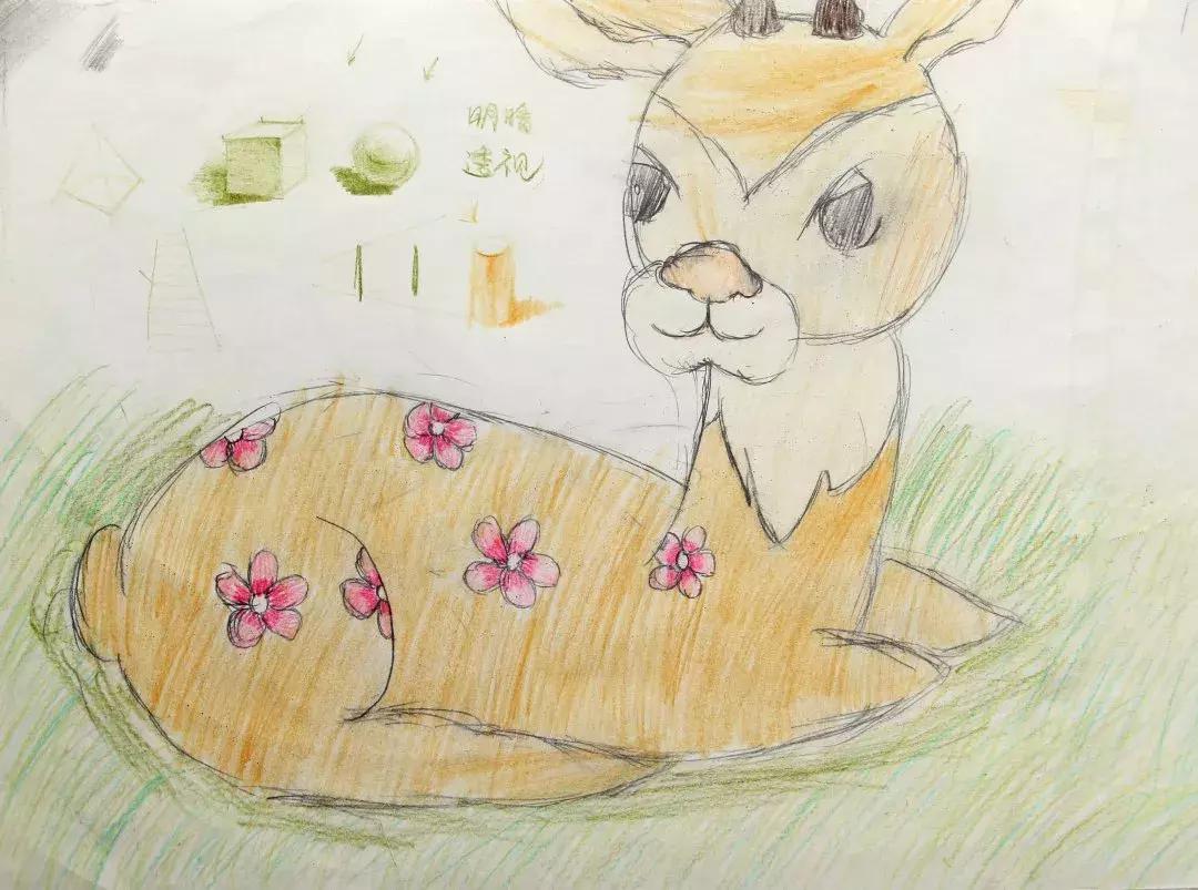 光爱小画家们的艺术生活（上）