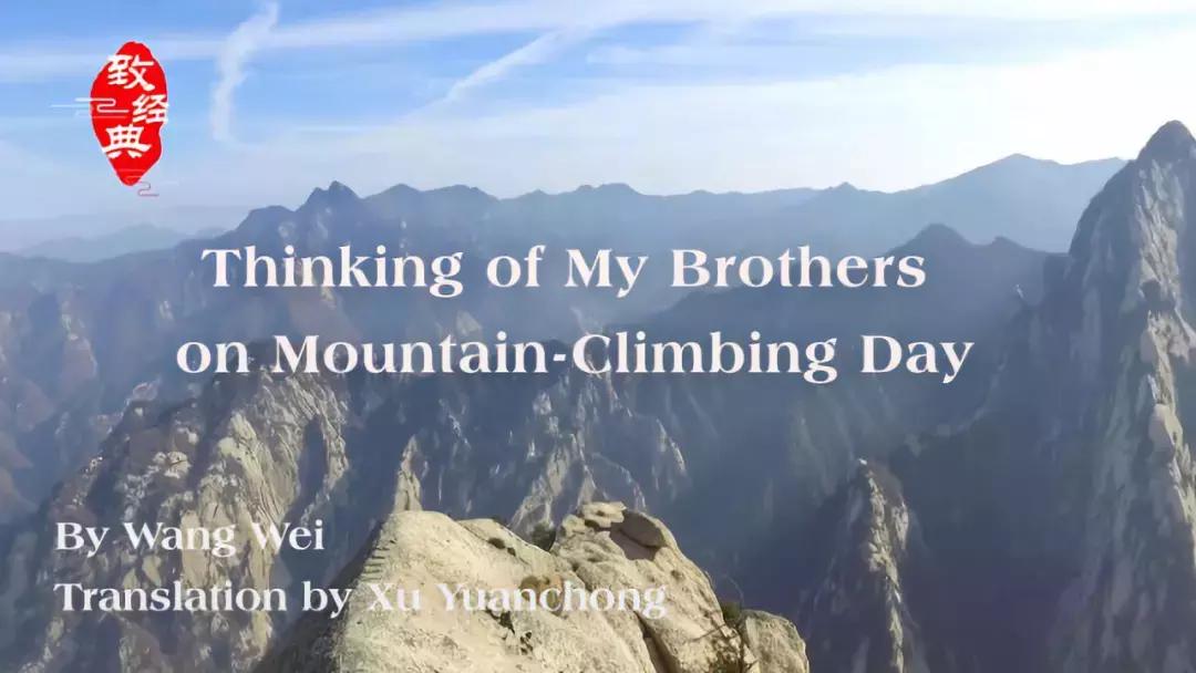 岁岁重阳今又重阳抖音版,岁岁重阳今又重阳视频