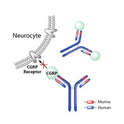 全球2019批准新药,全球新药的发展趋势