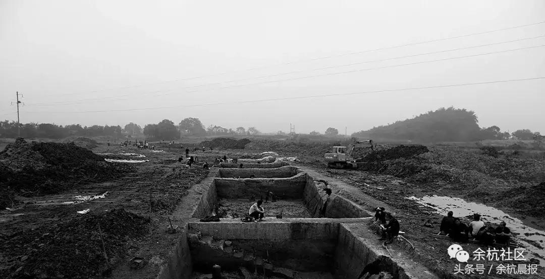 9090000㎡！余杭新增一大型公园，1299个足球场大！