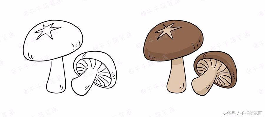 绘画蔬菜成长记,蔬菜成长记绘画图文