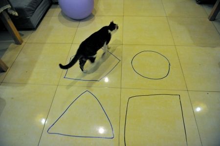 记者亲测远程配钥匙,记者亲测