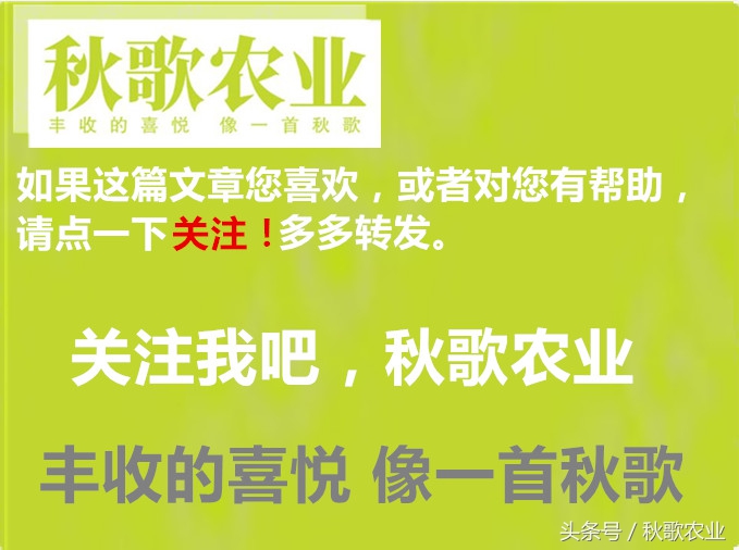 2016-2018十大品牌肥料,2024全国肥料双交会时间表
