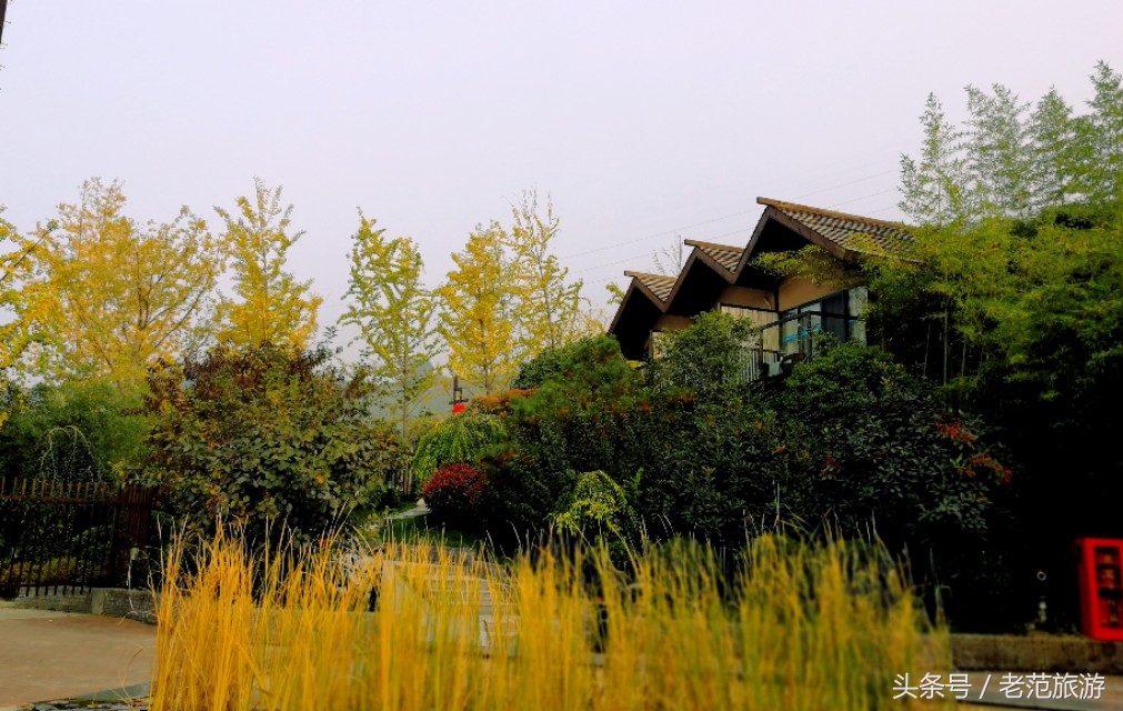 赏山赏水享人生,赏景温泉