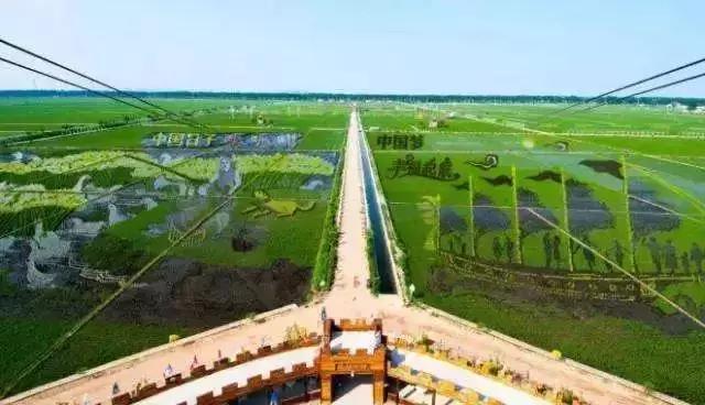 农业政策扶持项目多少亩有补贴,农业项目补贴政策有哪些