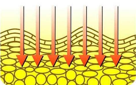 圣原健康体验店营业时间,圣原健康体验店