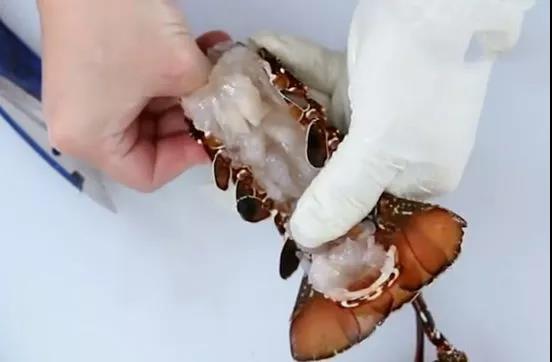 如何处理龙虾才是正确方法,龙虾活虾怎么处理最快又干净