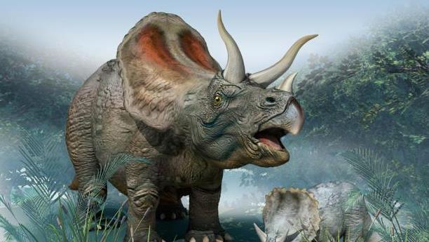 科学家发现的5种诡异生物,科学家发现奇怪的恐龙