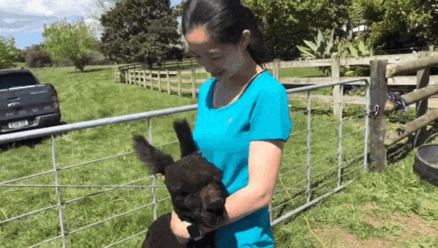 有超大草坪的庄园,大型生态农场庄园10万亩