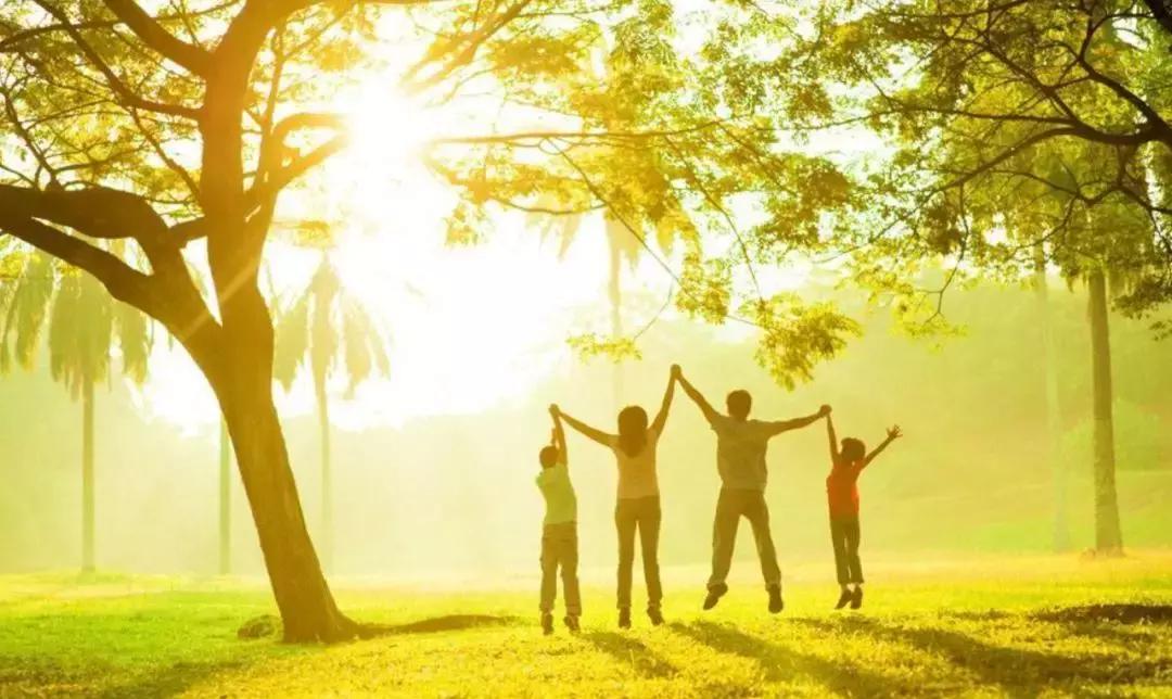 吴熙娟叙事疗法视频,吴熙娟叙事疗法培训