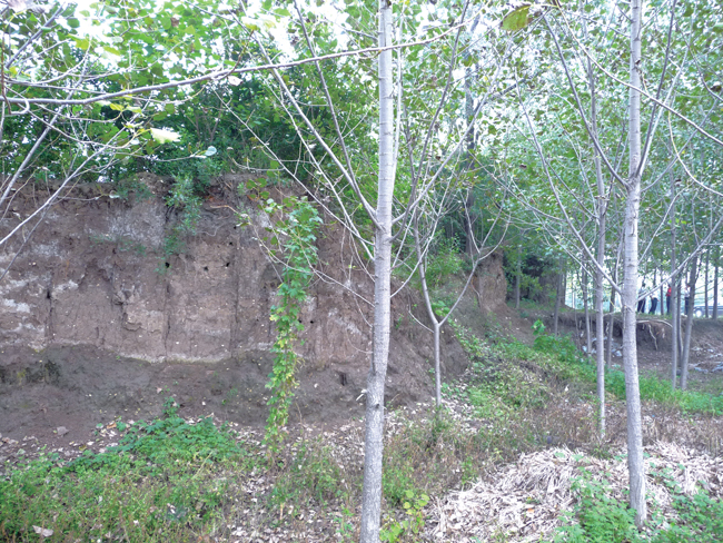 乡村记忆菏泽单县,乡村记忆安乐镇