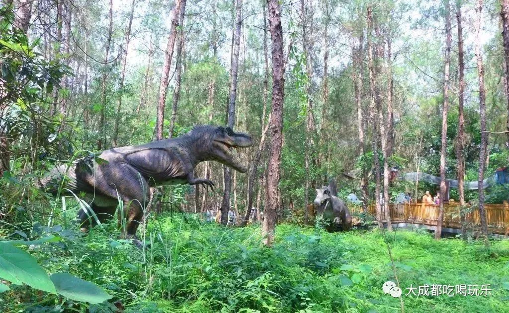 适合上班族成都旅游的地方,成都周末放松休闲的地方