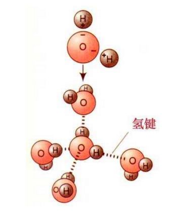 纸张遇水干后起皱怎么恢复,为什么纸碰到水就皱了