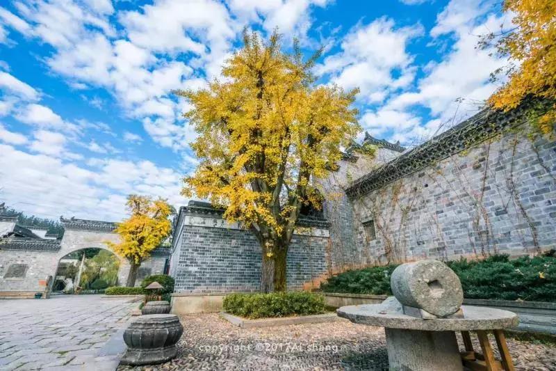 藏于山水间的温泉酒店推荐,一家来了就不想走的温泉酒店