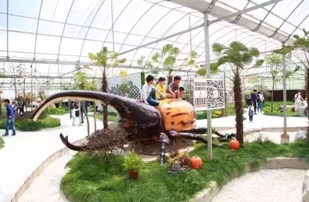 亲子网红庄园,网红亲子农庄在哪里