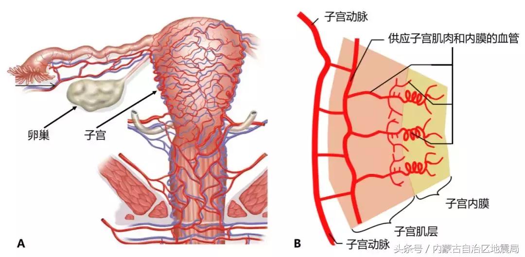 剖宫产还是顺产到底该如何选择,剖宫产好还是剖腹产好