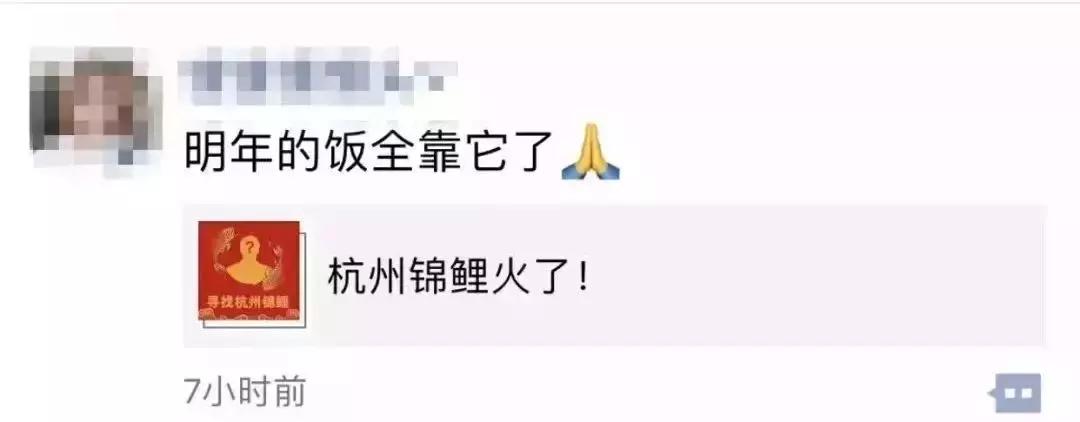 中国锦鲤隐藏套路,最近锦鲤为什么火了