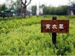 休闲农庄案例分析,特色农庄风景图