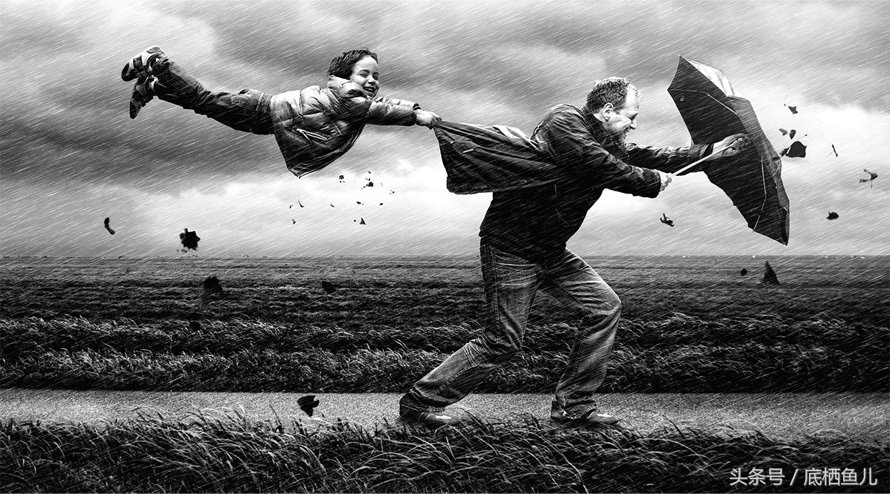 好养又皮实的小型鱼,比较抗活的小型鱼