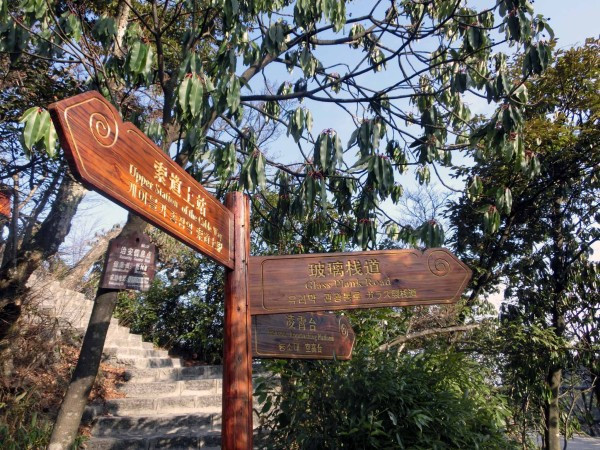 张家界国家森林公园天门山两日游,张家界天门山自由行攻略一日游