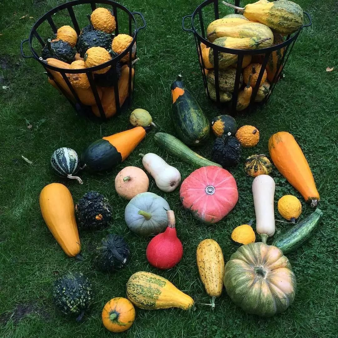 孕早期吃叶酸的时候需要补充锌吗 (怀孕叶酸钙铁都什么时间吃)