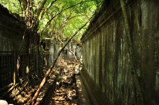 柬埔寨的自然风光和风土人情,柬埔寨惊艳时光