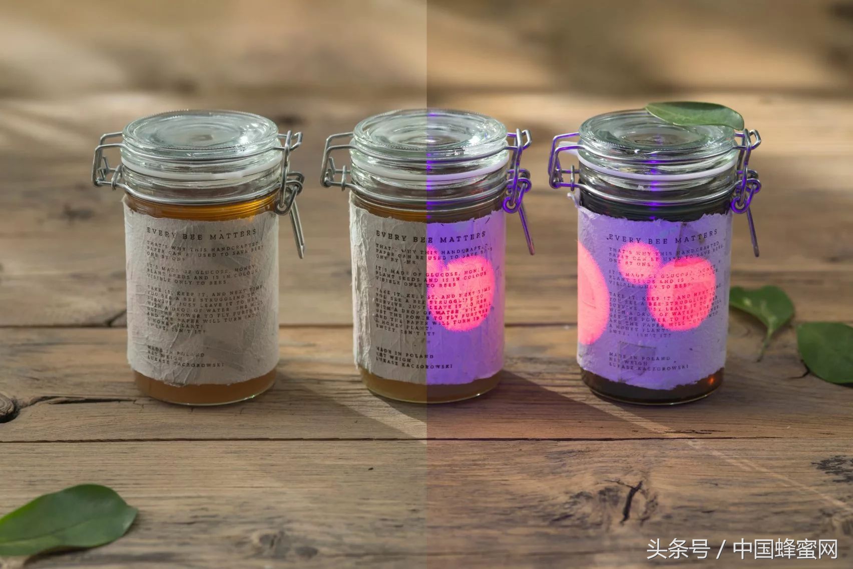 一百多箱蜜蜂全死了,上百箱蜜蜂死亡