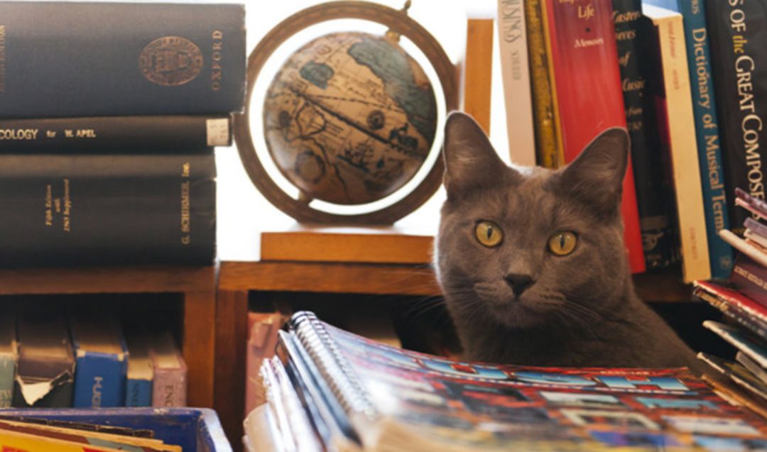 用11年的时间接近完美，但Kindle颠覆世界的使命却落空了