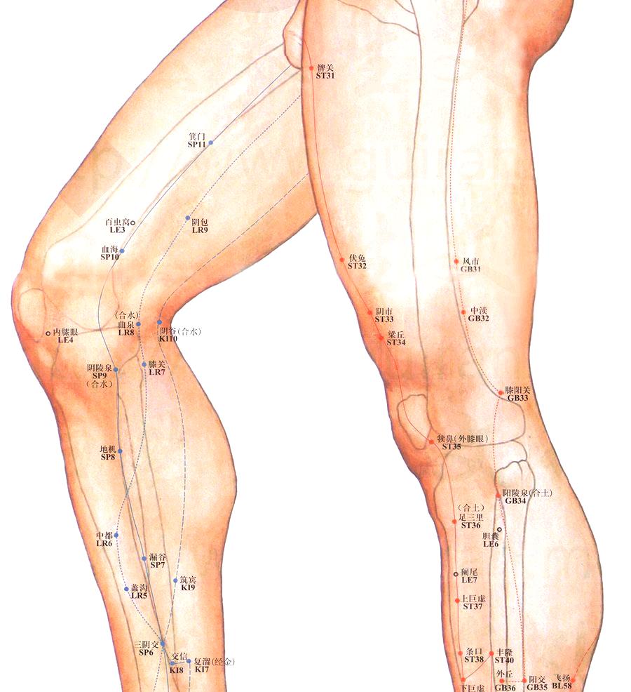 针灸穴位图及作用,针灸人体穴位图大全详解