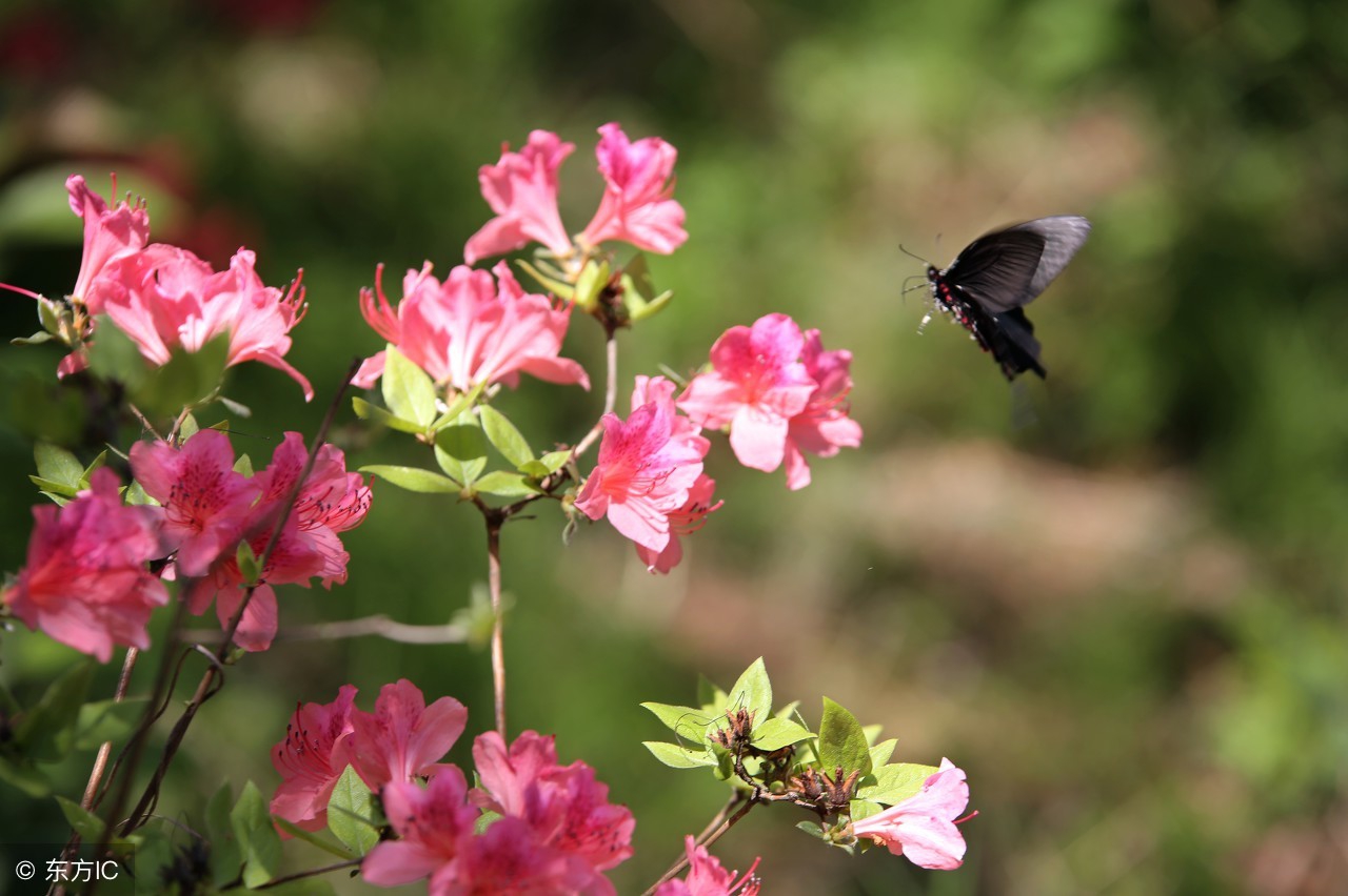 哪位高人写的句子句句有道理,哪位高人写的精辟