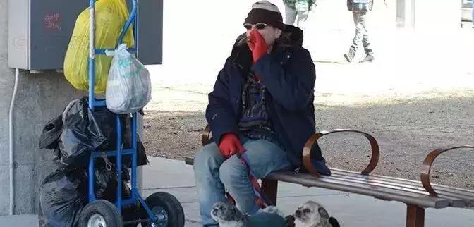 加拿大*麻大**合法了！留学生携带*麻大**回国，却将严重违法！