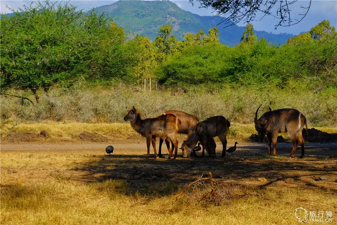 你喜欢什么样的海水,你喜欢什么样的海