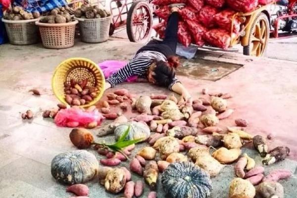 现在流行假摔炫富？谢楠“摔”出的东西引人羡慕，网友：你赢了！