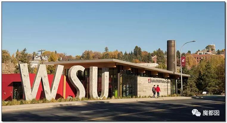 微软创始人逝世读后感,微软创始人传奇历史