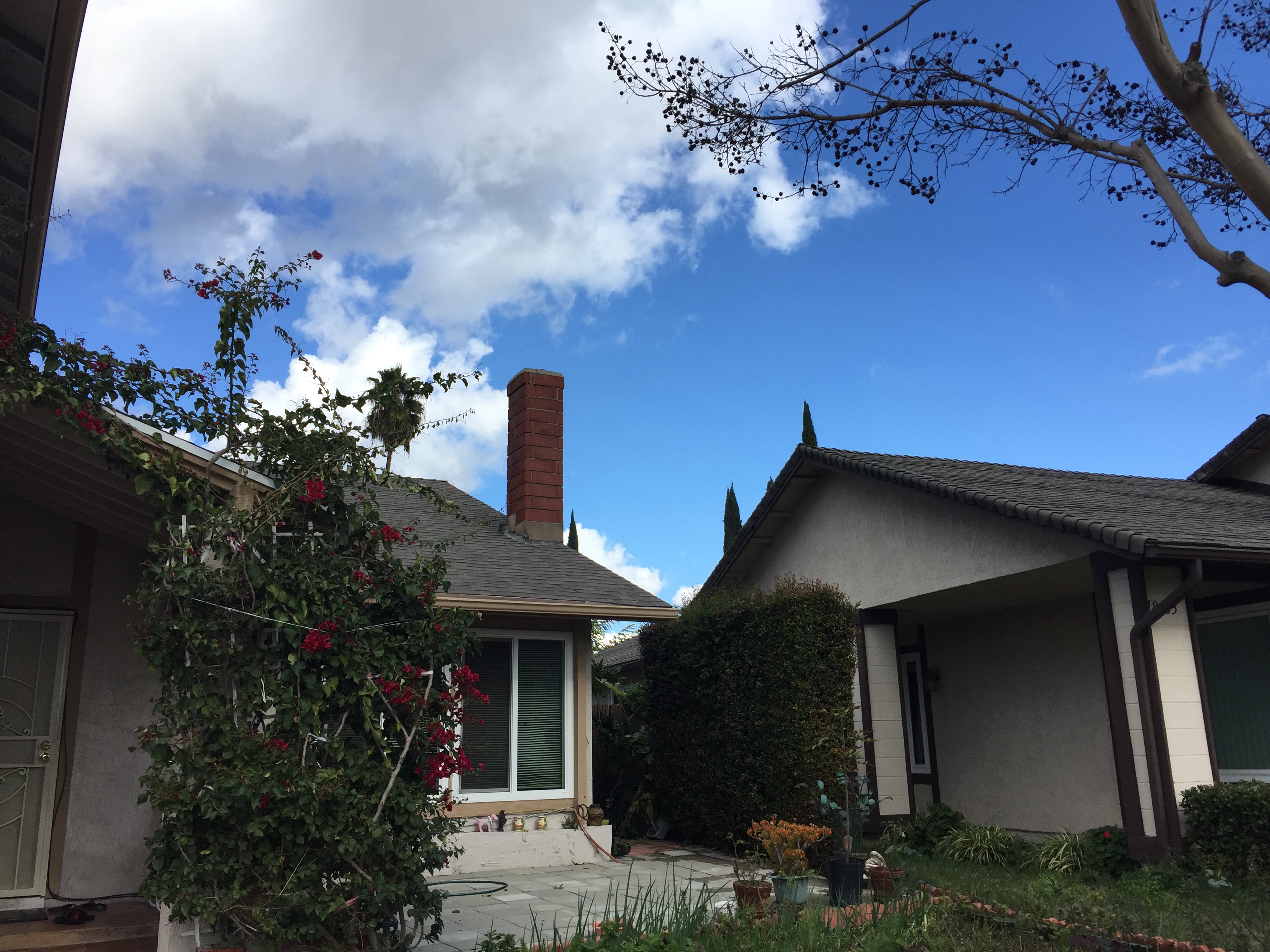 diy赴美生子,赴美生子在哪里找民宿