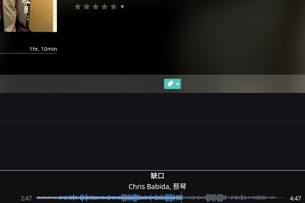Roon的最佳解答：RoonNucleus音乐服务器