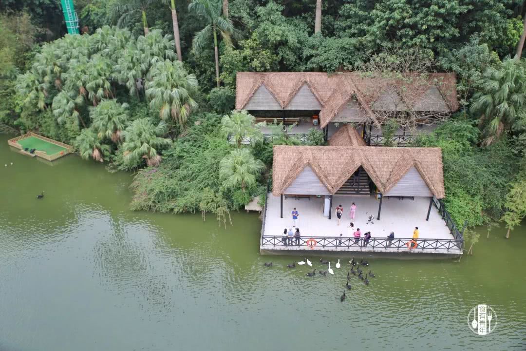 动物园万圣节里面有什么,万圣节动物王国