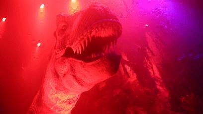 动物园万圣节里面有什么,万圣节动物王国