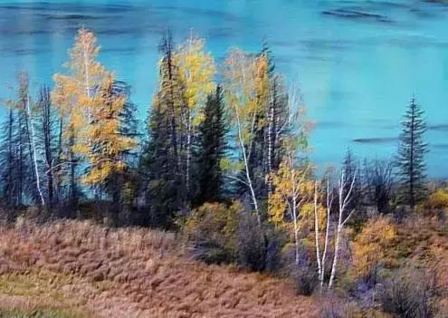 网购新疆为什么不包邮,为什么在网上买东西新疆不包邮