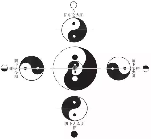 六味地黄丸补肾倪海厦,六味地黄丸过度补肾会怎么样