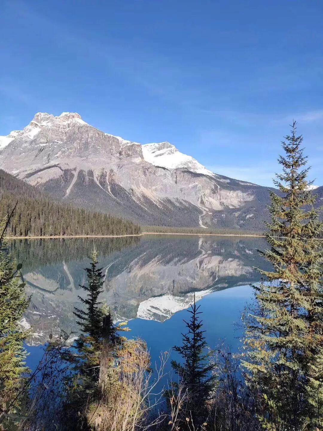 标本溶血对血糖有影响吗,标本溶血会影响血脂的结果吗