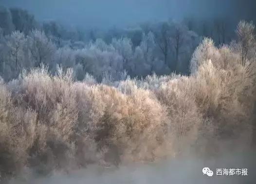 美爆了一大波青海冬日奇景,青海神秘奇景