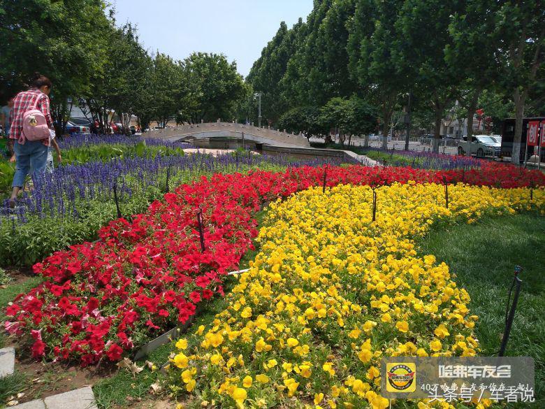 哈弗h2车主真实感受,2015年哈弗h2油耗多少