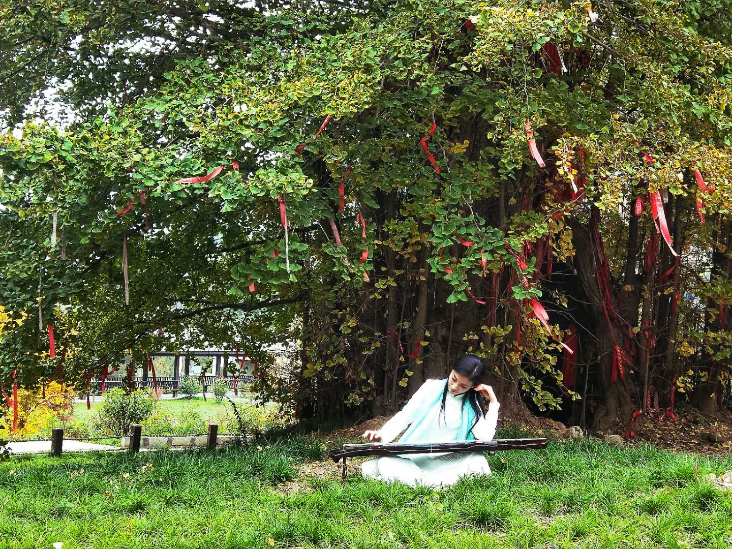 秋景西安好去处,雨后遇晴天留坝寻秋色